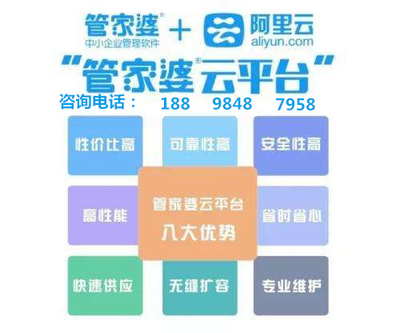 2025澳门管家婆100%精准;详细解答、解释与落实